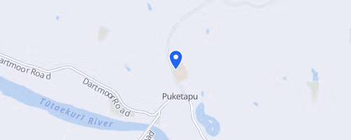 Puketapu Night Run