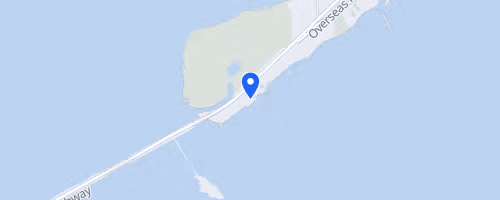 Swim for Alligator Lighthouse