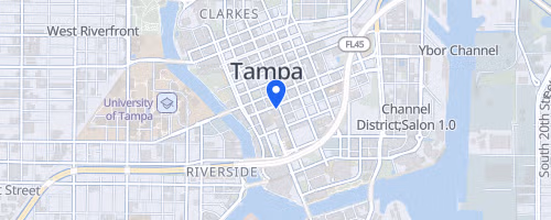 Tunnel to Towers Climb - Tampa, FL