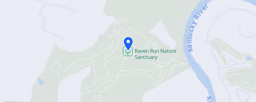 The Raven 10K