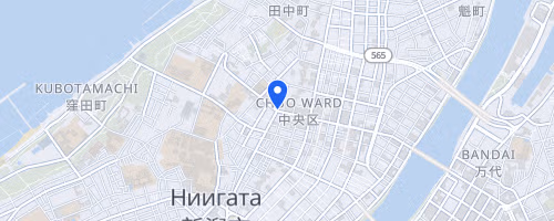 Niigata City Marathon