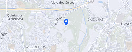 Maratona e Meia Maratona de Lisboa condicionam trânsito em Lisboa, Oeiras e Cascais no fim de semana