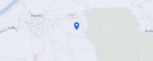 Meia Maratona do Ameal - Arte e Meios