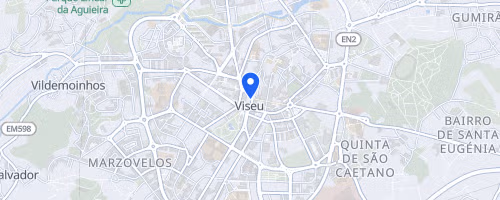 Viseu Triathlon