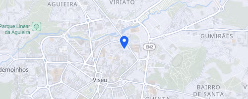 Semi-Marathon de Viseu