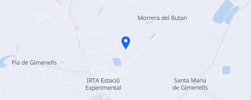 Social Run Gimenells