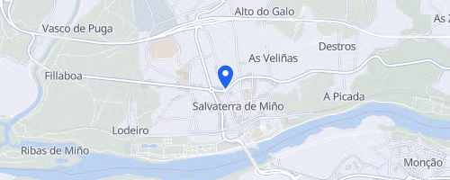 Descenso a Nado Salvaterra de Miño