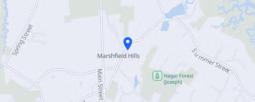Marshfield Run for the Hills