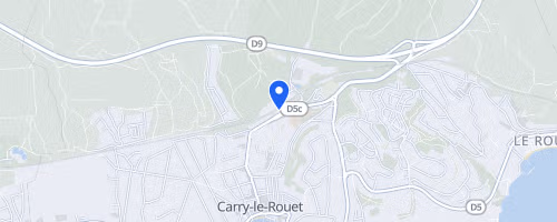 Carro-Carry
