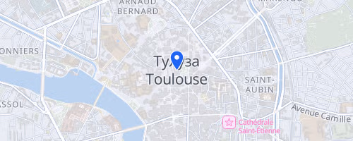 Les 10 Km Du Stade Toulousain - Toulouse