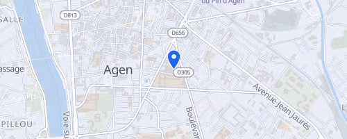 Les foulées du petit bleu - Agen