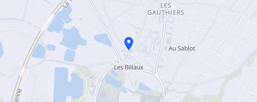 Course pédestre du marais des brizards - Les Billaux