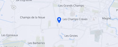 La corrida internationale de Magné