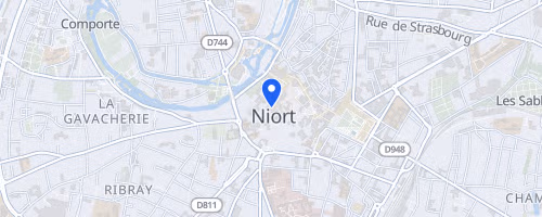 Les foulées de cholette et surimeau - Niort