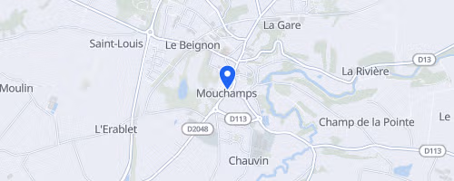 Le trail du tigre - Mouchamps