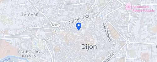 La course du bien public - Dijon