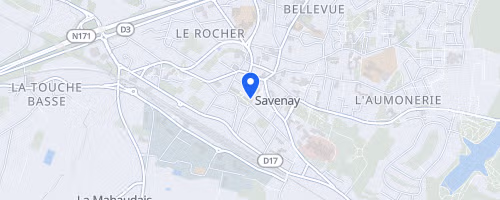 Les foulées du sillon de Bretagne - Savenay