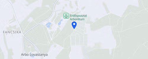 II. Mozaik Med Debreceni Futófesztivál