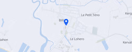 Foulées de Billiers