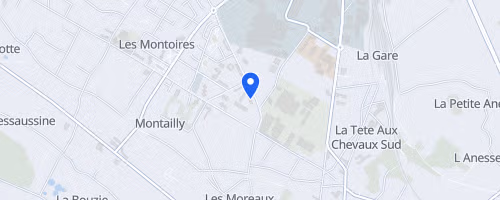Les Foulées Giennoises