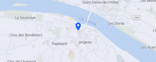 Les foulées du bord de loire