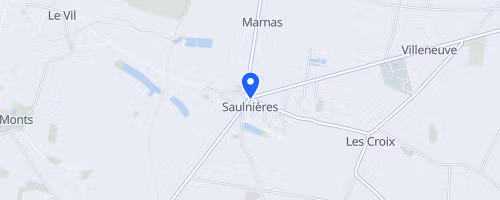 Foulées Saulnieroises - Saulnieres