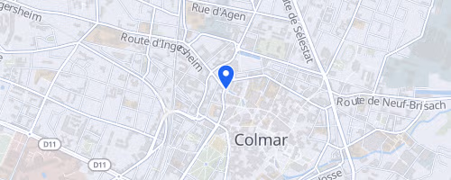UBF 200-300-500 Km Vosges - Colmar