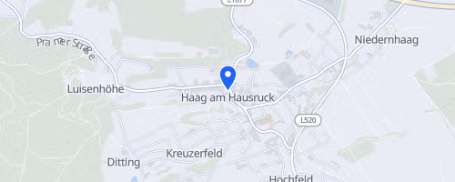 Haager Marktlauf