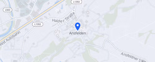 ANSer Panoramalauf