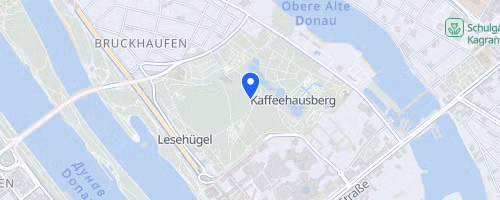 37. Sri Chinmoy Donauparklauf