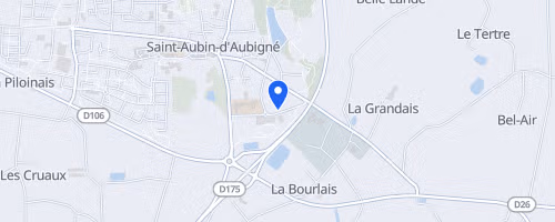 La Ronde Du Phacochere - Saint-aubin-d'aubigne