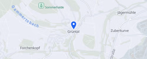 6. 24 h Lauf Freudenstadt