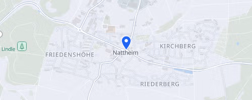 Nattheimer Maultaschenlauf