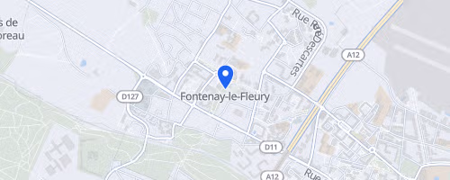 La course royale - Fontenay-le-Fleury