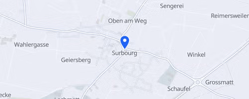 La Corrida de Surbourg - 8 km 2026
