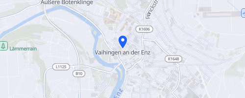 Inklusions-Stadt-Lauf der Lebenshilfe Vaihingen-Mühlacker e.V.