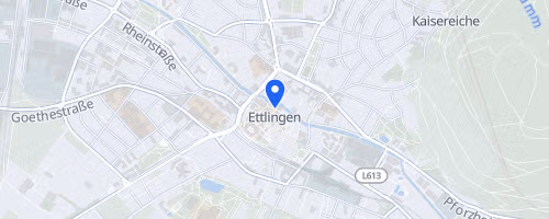 SWE-Halbmarathon Ettlingen