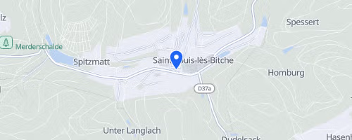 Foulées du cristal - Saint-Louis-lès-Bitche