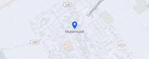 engelhorn Brooks Laufcup Mutterstadter Volkslauf