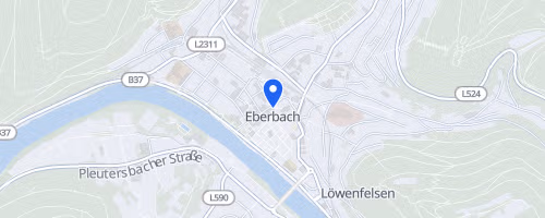 31. Eberbacher Sprint- und Jedermanntriathlon