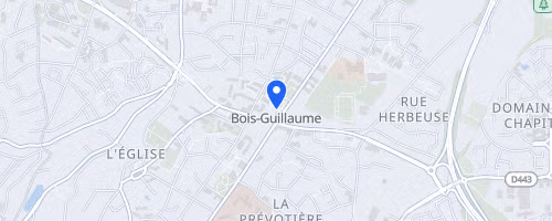 Semi-marathon et 10 km de Bois-Guillaume