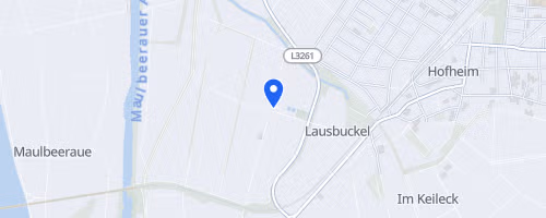 39. Hofheimer Volkslauf