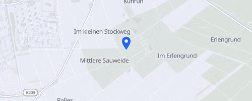 Fischerfestlauf Gernsheim