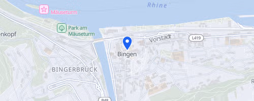 8. Charity Mega Run Bingen