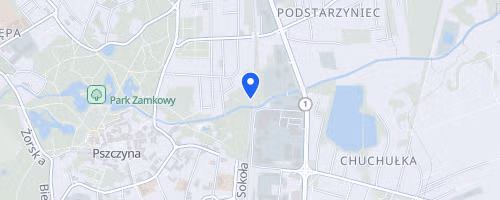 Carbo Asecura Bieg Pszczyński