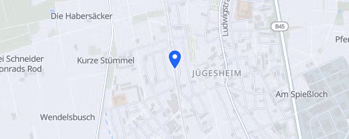 46. Winterlaufserie Rodgau Jügesheim (1)