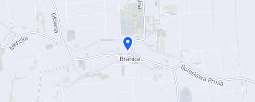 Bieg Branicki