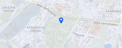 XVII Bieg do Slonca
