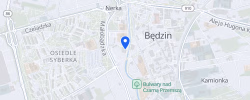 III Bedzinski Polmaraton Niepodleglosci