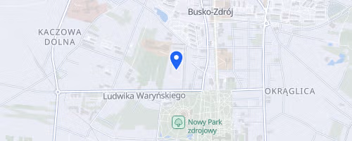 Półmaraton Buski